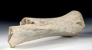 Fossilized Ice Age Mammoth Long Bone