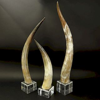 Three (3) Graduated Horns Mounted on Acrylic Base