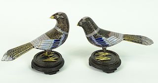 (2) Two Chinese Clossione Birds on mounted bases