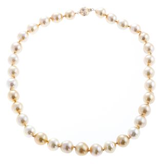 A Ladies Golden South Sea Pearl Necklace with 14K