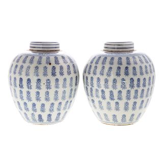 Pair Chinese Blue and White Ginger Jars