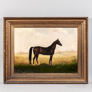 William C. Van Zandt (American, 1844-after 1860)  Portrait of a Horse