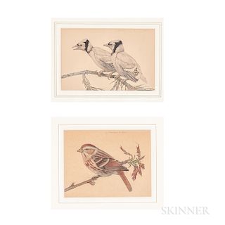 Charles Heil (Massachusetts, 1870-1950)  Two Bird Watercolors