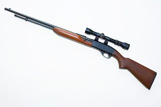 Remington Model 552 22 cal