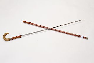 Horn Sword Cane