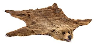 A Taxidermy Bear Skin Rug<br>Length 7 feet 8 inch