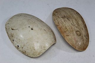 Two PNG shells.