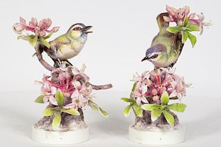 Pair, Doughty Red Eyed Vireo with Original Boxes