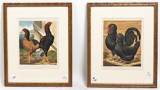 Two Chromolithographs, Height 9 1/4 x width 7 1/4 inches.