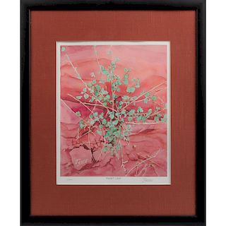 FRAMED LIMITED EDITION PRINT, DESERT LACE, BY SHIRLEY JEANE