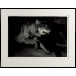 WOLF, BY ROY GUMPEL, 1986