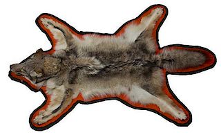A Taxidermy Coyote Rug, Length 61 1/2 inches.