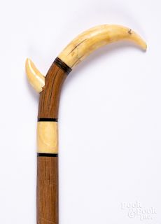 Boars tusk and ebony walking stick