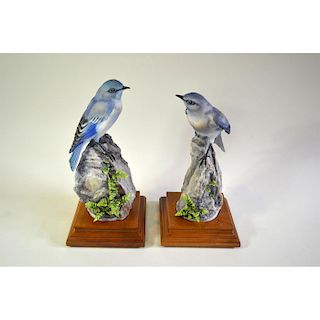 ROYAL WORCESTER MOUNTAIN BLUEBIRDS AND SPLEENWORT NIGER, PAIR