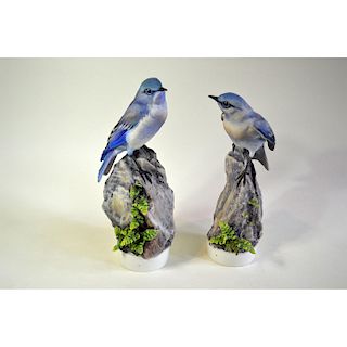 ROYAL WORCESTER MOUNTAIN BLUEBIRDS AND SPLEENWORT NIGER, PAIR