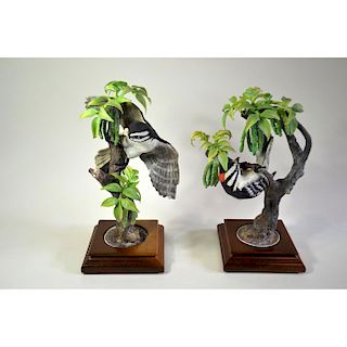 ROYAL WORCESTER LITTLE DOWNY WOODPECKERS AND PECAN, PAIR