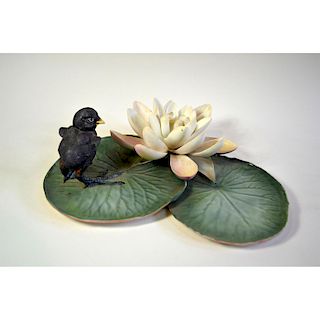 ROYAL WORCESTER MOOREHEN CHICK ON WATER LILY