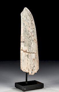 Fossilized Woolly Mammoth Tusk Tip - Great Color
