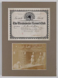 Westminster Kennel Club certificate