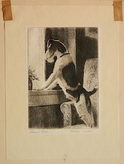 6 Prints of Dogs