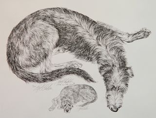 13 Prints and drawings of Scottish Deerhounds