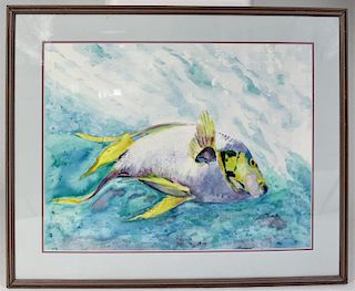 Initialed, Watercolor of Parrot Fish