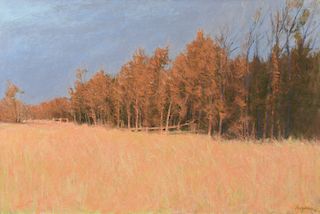 WILLIAM ANZALONE (American/Texas b. 1935) A PAINTING, "Tree Line-Late Afternoon," 1998,