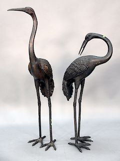 Pair of bronze life size storks.