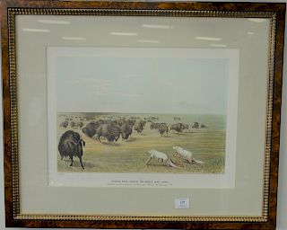 After George Catlin, colored lithograph, "Buffalo Hunt under the White Wolf Skin" published at James Ackermans lithographic rooms. s...