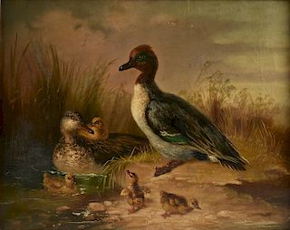 MUNICH SCHOOL (19th Century) A PAINTING, "Green Winged Teal Duck Family," GERMAN,