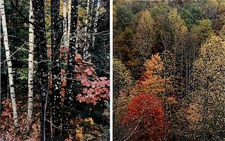 ELIOT PORTER (American 1901-1990) TWO PHOTOGRAPHS,"Colorful Trees, Newfound Gap Road, Great Smoky Mountains, National Park, Tennessee. October 1967" A