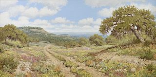 ROBERT HARRISON (American/Texas b. 1949) A PAINTING, "Texas Hill Country," 1978,
