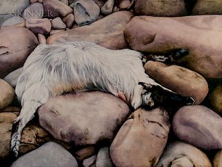 Tammy Ricker (American, 20th/21st Century)  Sheep Dead on Rocks