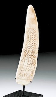 Ancient Tonga Island Lapita Incised Shell Artifact