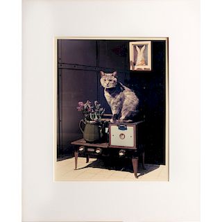 S. WILLIAMS PHOTOGRAPH, CAT ON STOVE