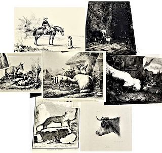 A Collection of 8 Old Master and 19th C Prints