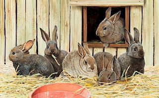 Ken Carlson
(American, b. 1937)
Domestic Rabbits, 1979