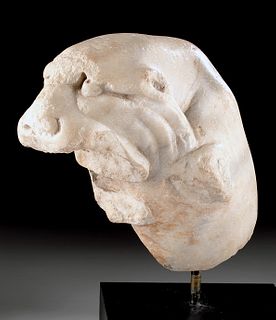 Beatuiful Roman Marble Lioness Head