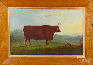 Oil on canvas of a prize bull