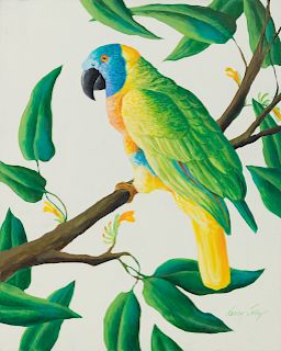 Nancy Jolly
(American, b. 1945)
Amazon Parrot