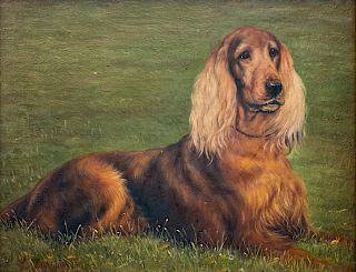 Portrait of a Tri-Color Spaniel and Portrait of a Red Setter
8 x 10 inches.