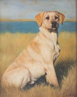 Portrait of a Labrador Retriever
10 x 8 inches.