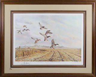 Gary E. Neel Ducks Unlimited Limited Edition Lithograph, "Close By the Sutter Buttes-Mallard"