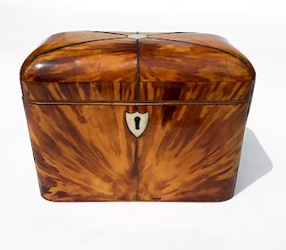 Regency Tortoiseshell Dome Top Double Compartment Tea Caddy