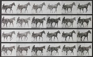 Eadweard Muybridge Animal Locomotion – Plate 587, Copyright 1887