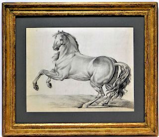 FINE 19C Old Master's Study Drawing of a Horse