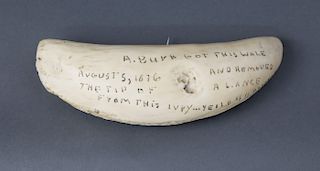 Whaleman A. Burk Inscribed Sperm Whale Tooth, circa 1876