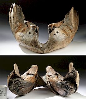 Incredible Serbian Ice Age Mammoth Jawbone