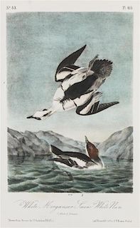 Audubon, John James, after Each approximately: 10 1/2 x 6 3/4 inches.