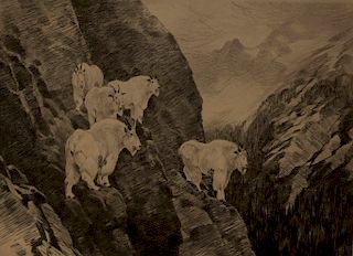 Carl Rungius - Goats